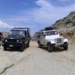 jeeps-on-safari-1451019-1599x2132-773x1030