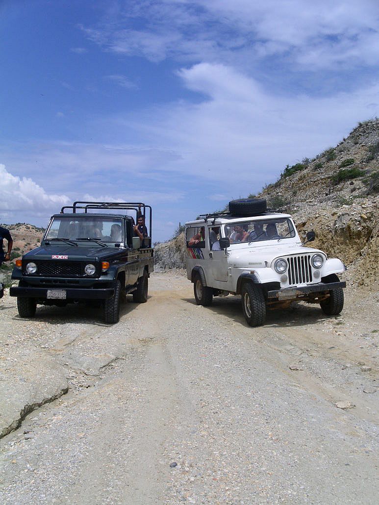 jeeps-on-safari-1451019-1599x2132-773x1030